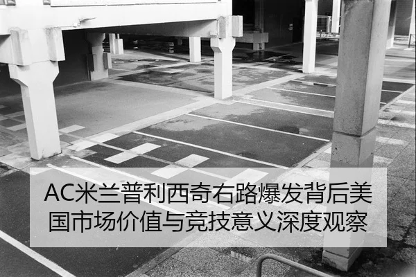 AC米兰普利西奇右路爆发背后美国市场价值与竞技意义深度观察（leyu）
