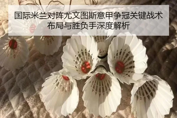 国际米兰对阵尤文图斯意甲争冠关键战术布局与胜负手深度解析 - leyu